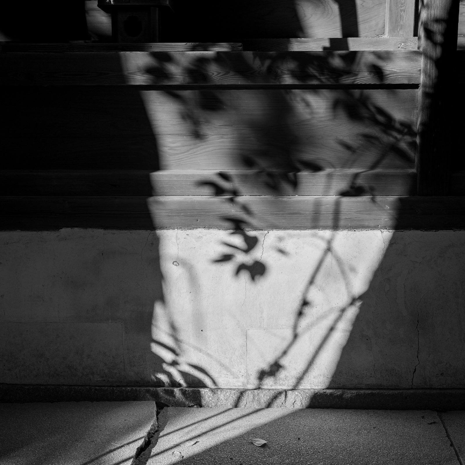 Naoki Kimura_Resonances, 2025_30.5 x 30.5cm_archival pigment print_Edition7_bc