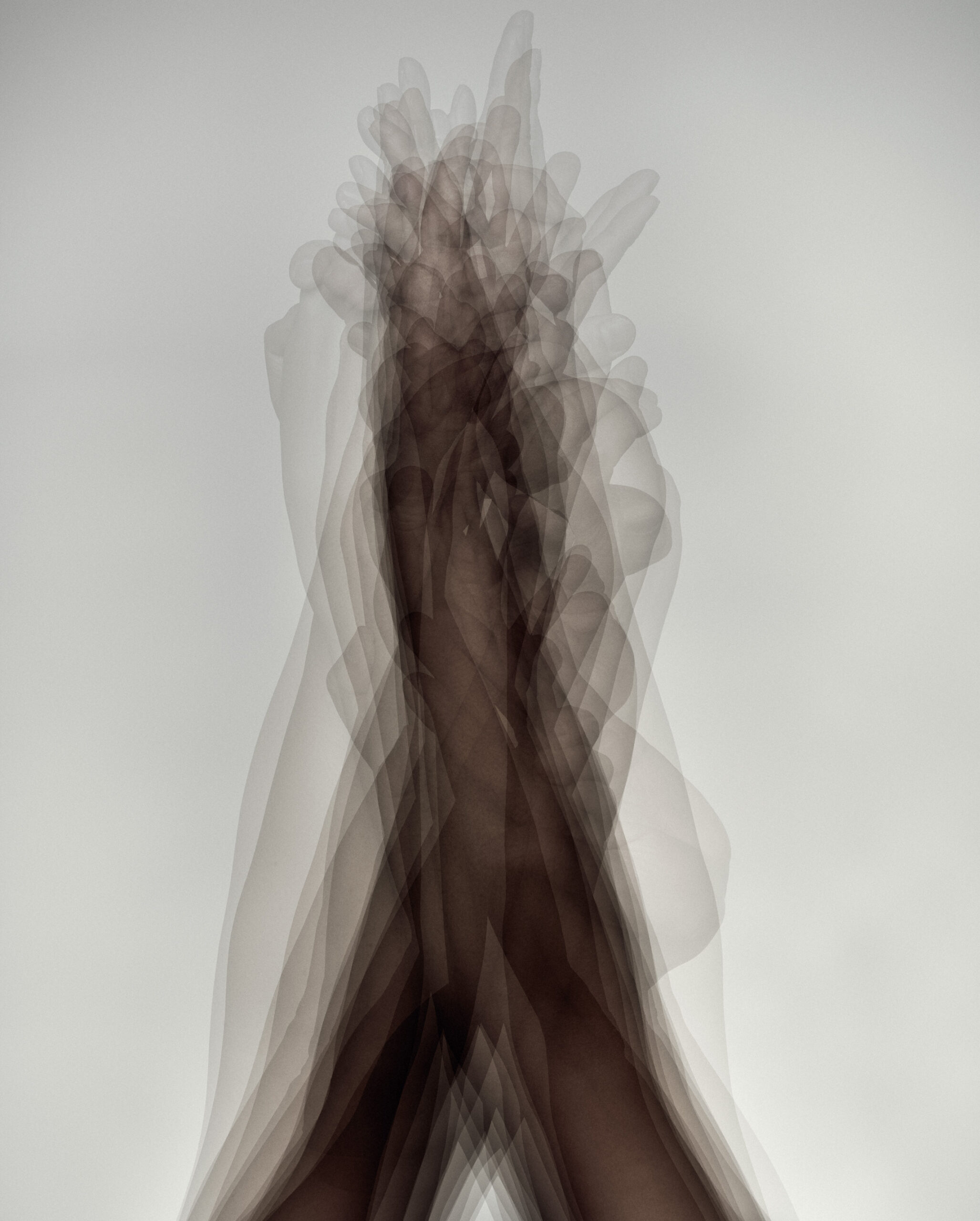 imu_003 2025-2026