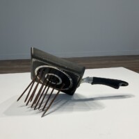 狂った果実 2011