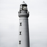 BP#001, 2021/2022 138 x 110 cm, エプソン・インクジェット・プリント、アルミニウムでマウント Edition:3