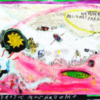 Erotic Mushrooms 2012 Erotic Mushrooms 2012, 81.5 x 106.5 cm, acrylic, soft lead pencil, pencil, indian ink and collage on a paper see chart mounted on a wood panel